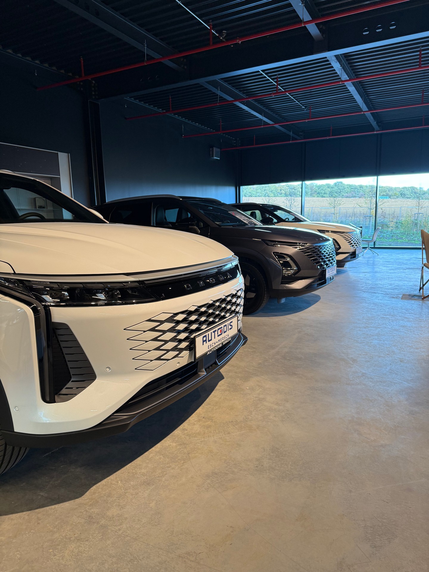 Autodis & Motodis | Mobility & New Car Brands | GRIDX